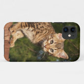 Savannah Cat iPhone 5 Case-Mate Barely Dort Hülle (Rückseite (Horizontal))