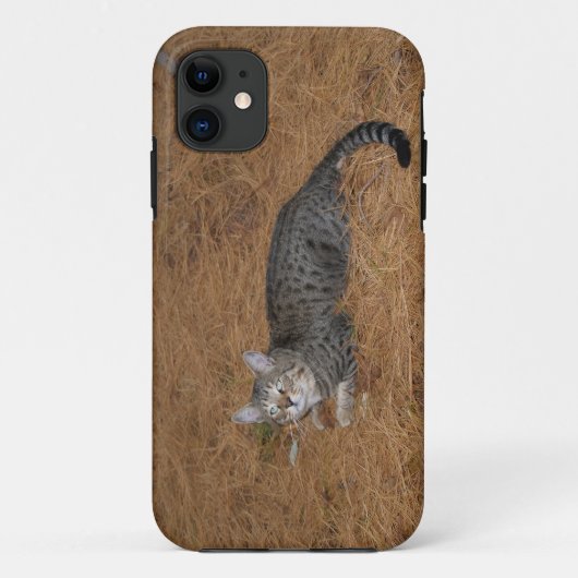 Savannah Cat iPhone 5 Case-Mate iPhone Hülle (Rückseite)