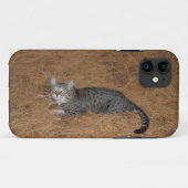 Savannah Cat iPhone 5 Case-Mate iPhone Hülle (Rückseite (Horizontal))