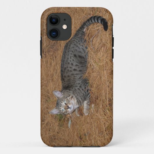 Savannah Cat iPhone 5 Case-Mate iPhone Hülle (Rückseite)