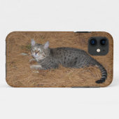 Savannah Cat iPhone 5 Case-Mate iPhone Hülle (Rückseite (Horizontal))