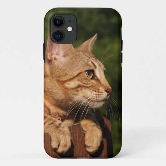Savannah Cat iPhone 5 Case-Mate iPhone Hülle (Rückseite)