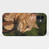 Savannah Cat iPhone 5 Case-Mate iPhone Hülle (Rückseite (Horizontal))