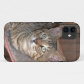 Savannah Cat iPhone 5 Case-Mate iPhone Hülle (Rückseite (Horizontal))