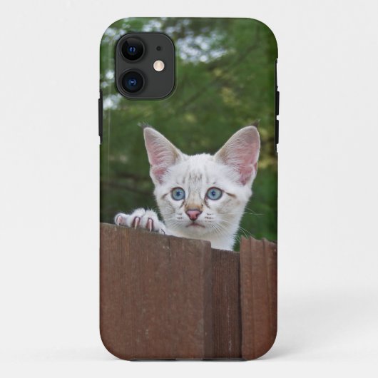 Savannah Cat iPhone 5 Custom Case-Mate-ID Case-Mate iPhone Hülle (Rückseite)