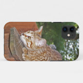 Savannah Cat iPhone 5 Custom Case-Mate-ID Case-Mate iPhone Hülle (Rückseite (Horizontal))