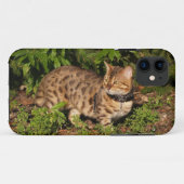Savannah Cat iPhone 5 Custom Case-Mate-ID Case-Mate iPhone Hülle (Rückseite (Horizontal))