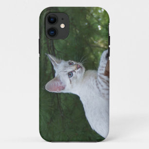 Savannah Cat iPhone 5 Custom Case-Mate-ID Case-Mate iPhone Hülle