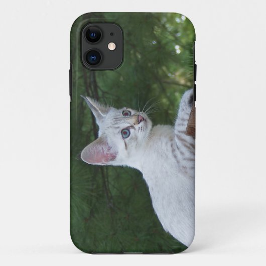 Savannah Cat iPhone 5 Custom Case-Mate-ID Case-Mate iPhone Hülle (Rückseite)