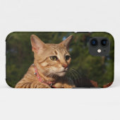 Savannah Cat iPhone 5 Custom Case-Mate-ID Case-Mate iPhone Hülle (Rückseite (Horizontal))