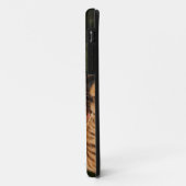 Savannah Cat iPhone 5 Custom Case-Mate-ID Case-Mate iPhone Hülle (Hinten/Links)