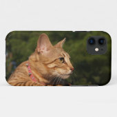 Savannah Cat iPhone 5 Custom Case-Mate-ID Case-Mate iPhone Hülle (Rückseite (Horizontal))