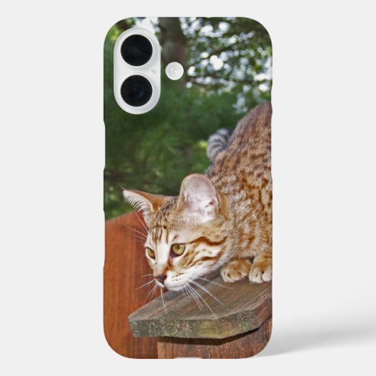Savannah Cat iPhone Fall Case-Mate iPhone Hülle (Rückseite)
