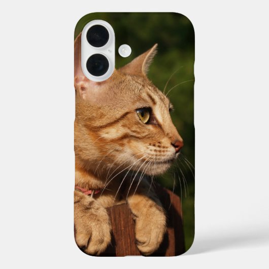 Savannah Cat iPhone Fall Case-Mate iPhone Hülle (Rückseite)