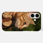 Savannah Cat iPhone Fall Case-Mate iPhone Hülle (Rückseite (Horizontal))