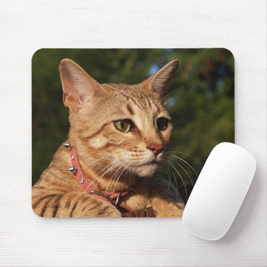 Savannah Cat Mousepad (Mit Mouse)