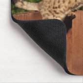 Savannah Cat Mousepad (Ecke)