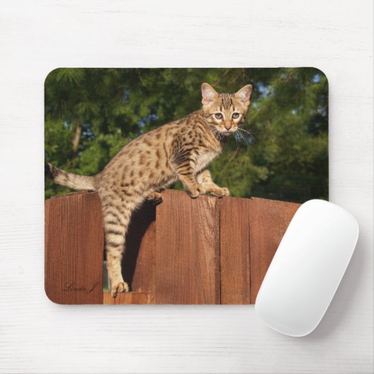 Savannah Cat Mousepad (Mit Mouse)