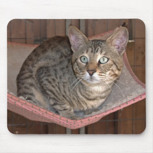 Savannah Cat Mousepad (Vorne)