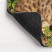 Savannah Cat Mousepad (Ecke)