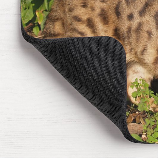 Savannah Cat Mousepad (Ecke)