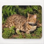 Savannah Cat Mousepad (Vorne)