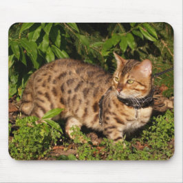 Savannah Cat Mousepad