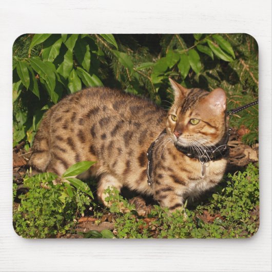 Savannah Cat Mousepad (Vorne)