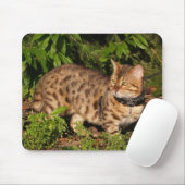 Savannah Cat Mousepad (Mit Mouse)