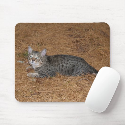 Savannah Cat Mousepad (Mit Mouse)