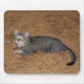 Savannah Cat Mousepad (Vorne)