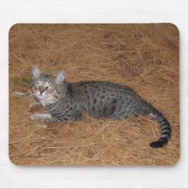 Savannah Cat Mousepad