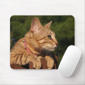 Savannah Cat Mousepad (Mit Mouse)