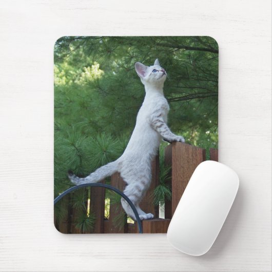 Savannah Cat Mousepad (Mit Mouse)
