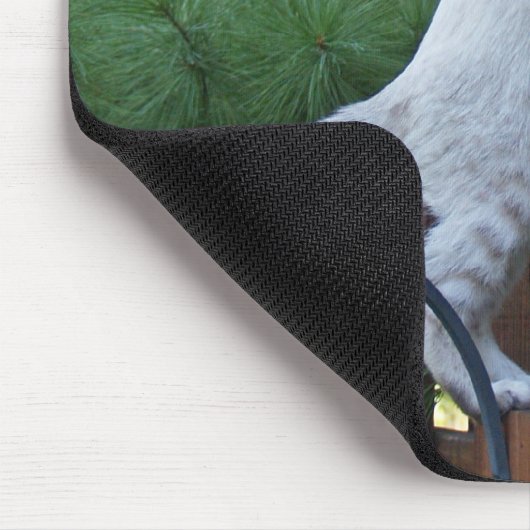 Savannah Cat Mousepad (Ecke)