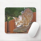 Savannah Cat Mousepad (Mit Mouse)