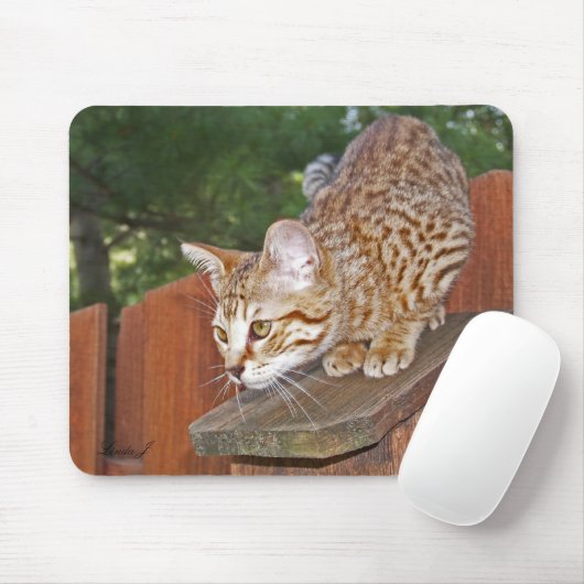 Savannah Cat Mousepad (Mit Mouse)