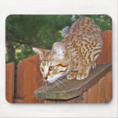 Savannah Cat Mousepad (Vorne)