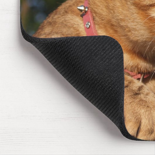 Savannah Cat Mousepad (Ecke)