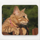 Savannah Cat Mousepad (Vorne)