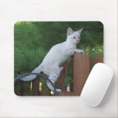 Savannah Cat Mousepad (Mit Mouse)