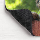 Savannah Cat Mousepad (Ecke)