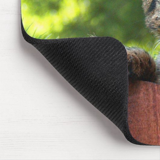 Savannah Cat Mousepad (Ecke)