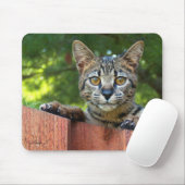 Savannah Cat Mousepad (Mit Mouse)