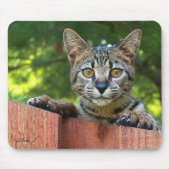 Savannah Cat Mousepad (Vorne)
