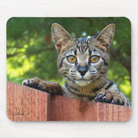 Savannah Cat Mousepad (Vorne)