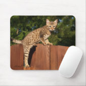 Savannah Cat Mousepad (Mit Mouse)
