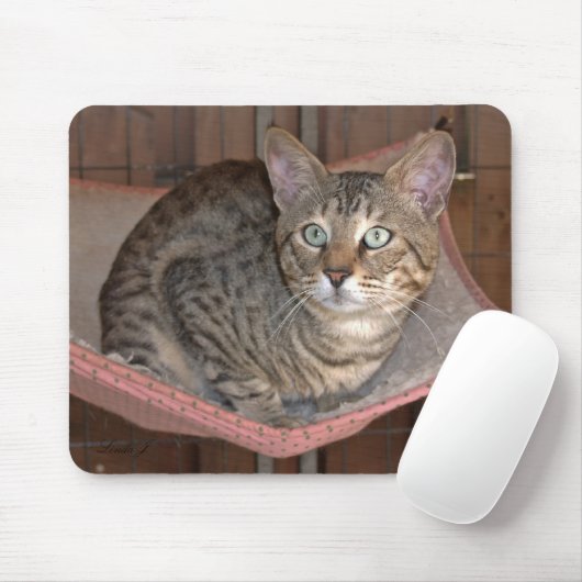 Savannah Cat Mousepad (Mit Mouse)