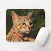 Savannah Cat Mousepad (Mit Mouse)