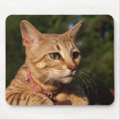 Savannah Cat Mousepad (Vorne)